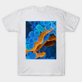 Oral Streptococcus bacteria, SEM (C026/7495) T-Shirt